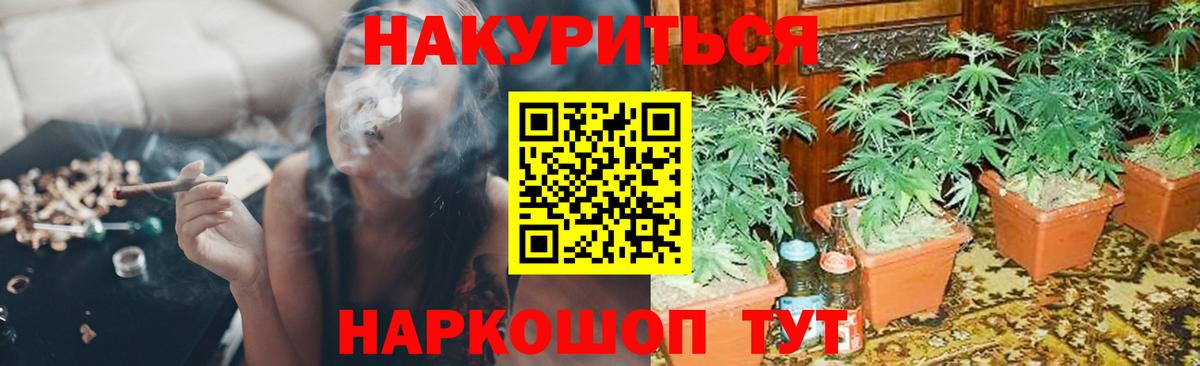 Бошки Шишки семена Йошкар-Ола